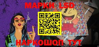 индика Балахна