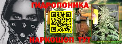 индика Балахна