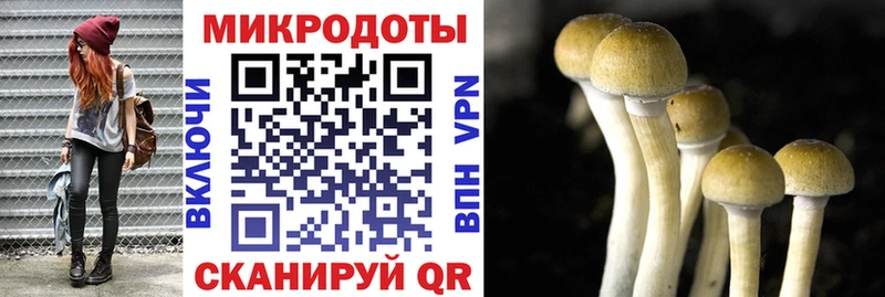 Галлюциногенные грибы Cubensis  Мыски 