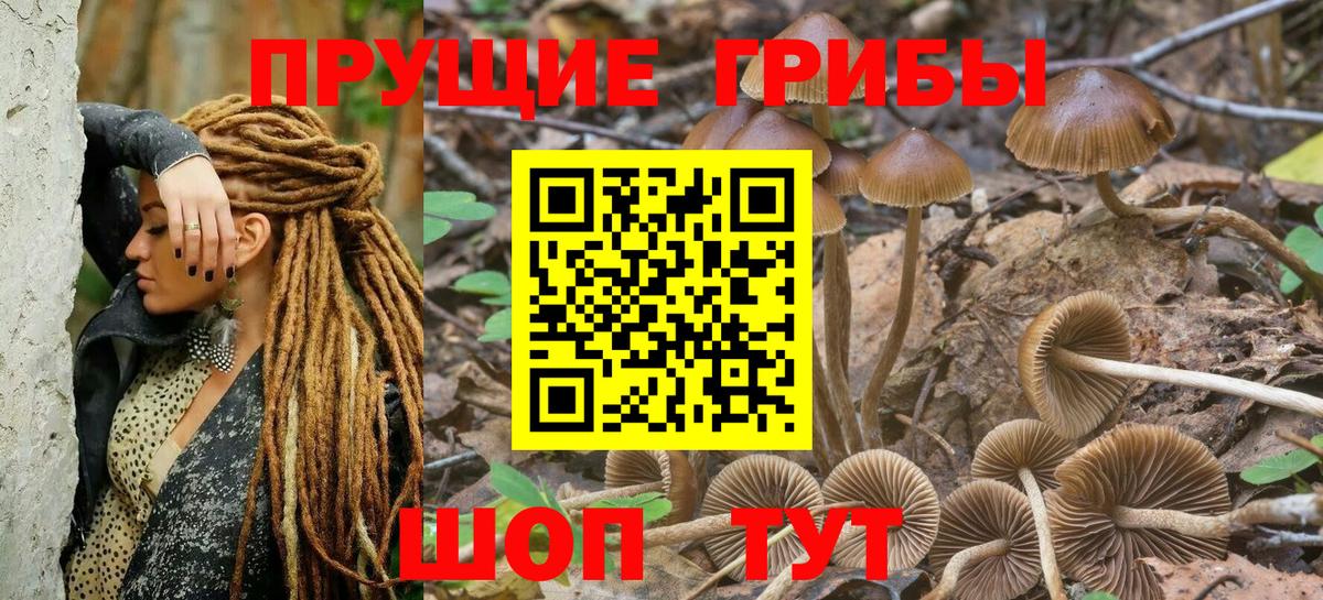 Галлюциногенные грибы MAGIC MUSHROOMS Мыски