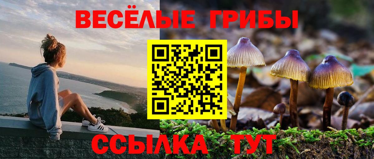Галлюциногенные грибы мухоморы  Вход с VPN  Мыски  Псилоцибиновые грибы ЛСД 