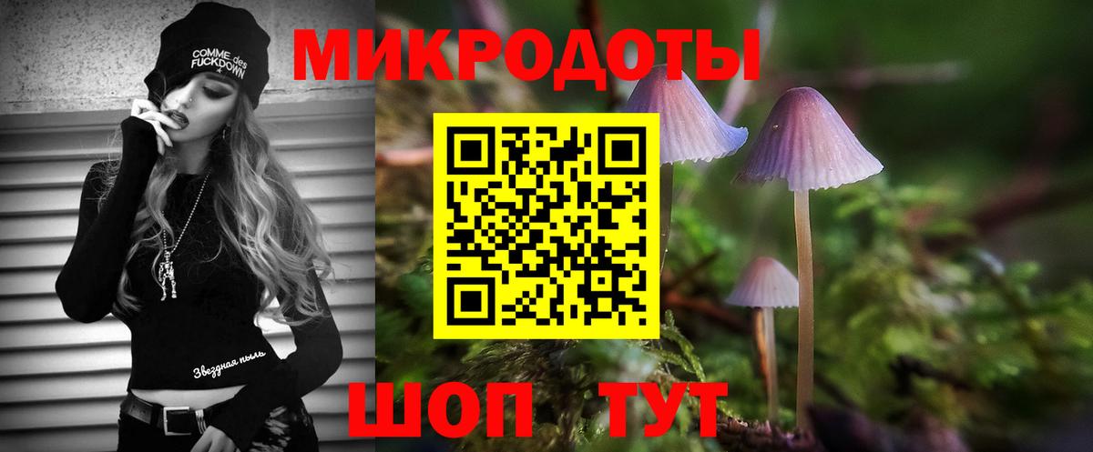 Галлюциногенные грибы Psilocybe Мыски