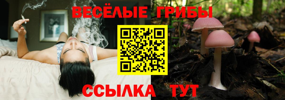 Галлюциногенные грибы ЛСД  Галлюциногенные грибы Cubensis  Мыски 